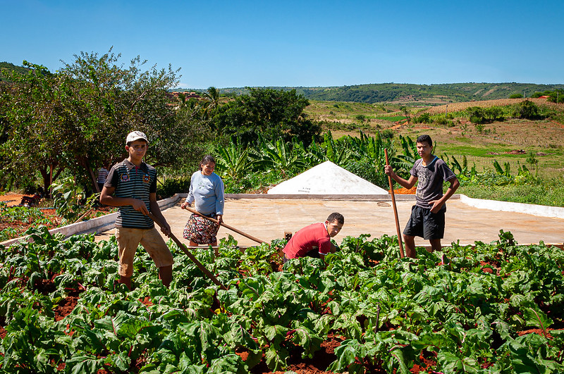 Campanha Semiárido Que Alimenta – gerando vida e cultivando o futuro (2018)