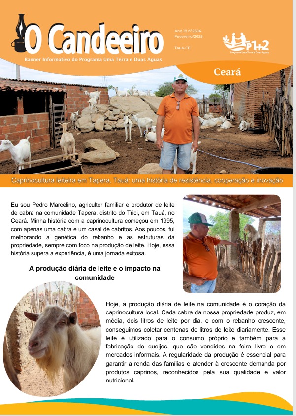 Caprinocultura Leiteira na Comunidade Tapera, Tauá: Uma História de Superação e Inovação no Semiárido