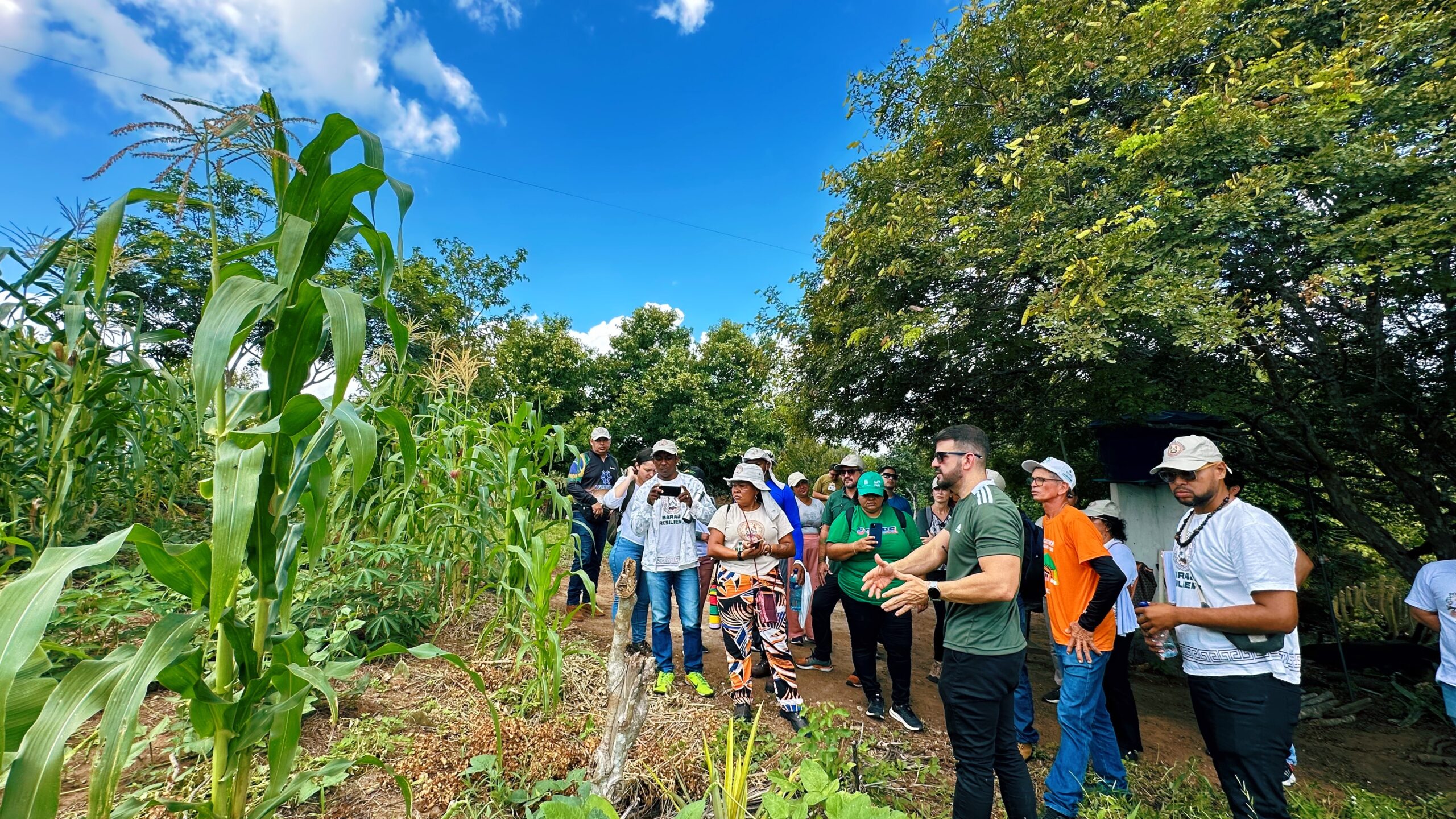 A foto mostra pessoas da Amazônia e Semiárido cearense visitando um Sistema Agroflorestal (SAF)