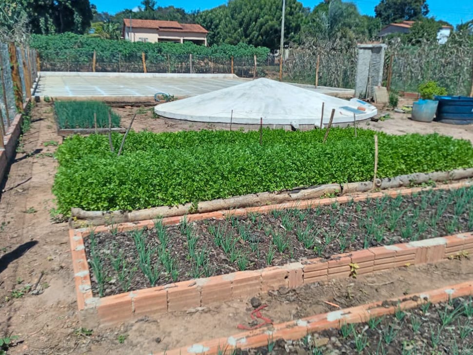 Na foto se vê três canteiros de horta e uma cisterna calçadão nos fundos.