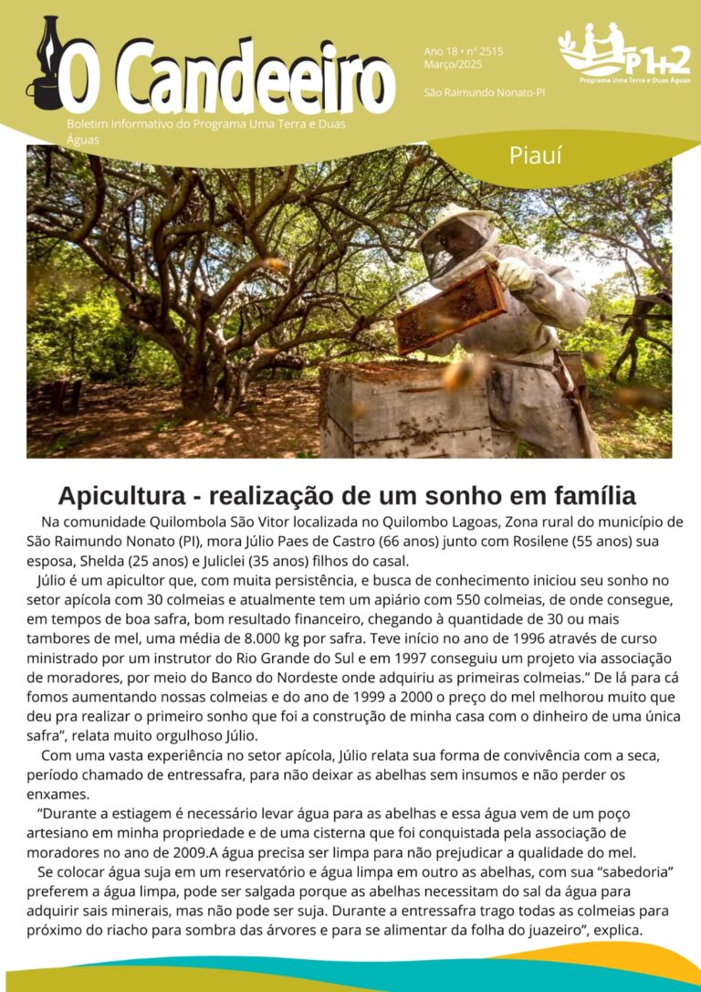 Apicultura- realização de um sonho em familia
