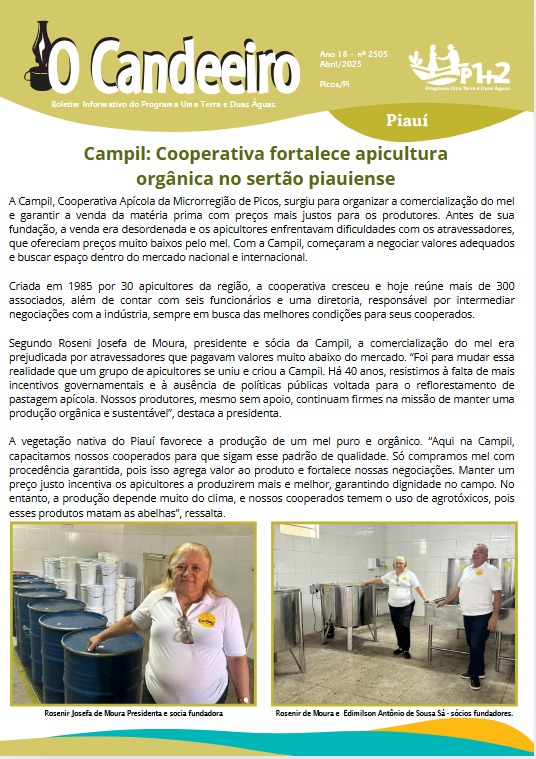 Campil: Cooperativa fortalece apicultura orgânica no sertão piauiense