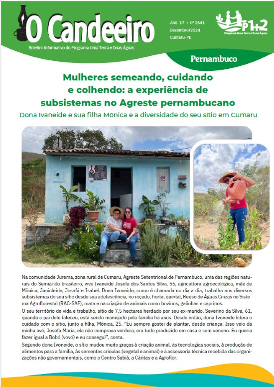 Mulheres Semeando, Cuidando e Colhendo: a Experiência de subsistemas no Agreste pernambucano