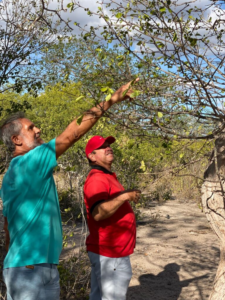 Dois agricultores conversam sobre conservação de sementes e produção de mudas para o reflorestamento da Caatinga