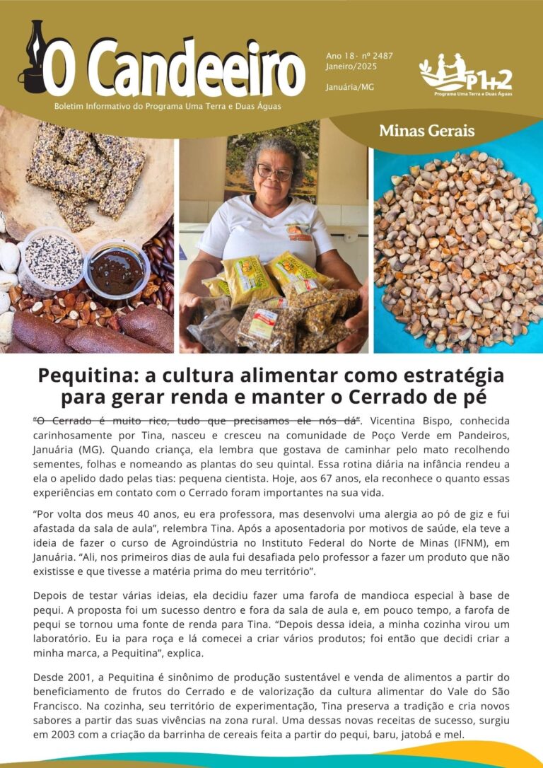 Pequitina: a cultura alimentar como estratégia  para gerar renda e manter o Cerrado de pé