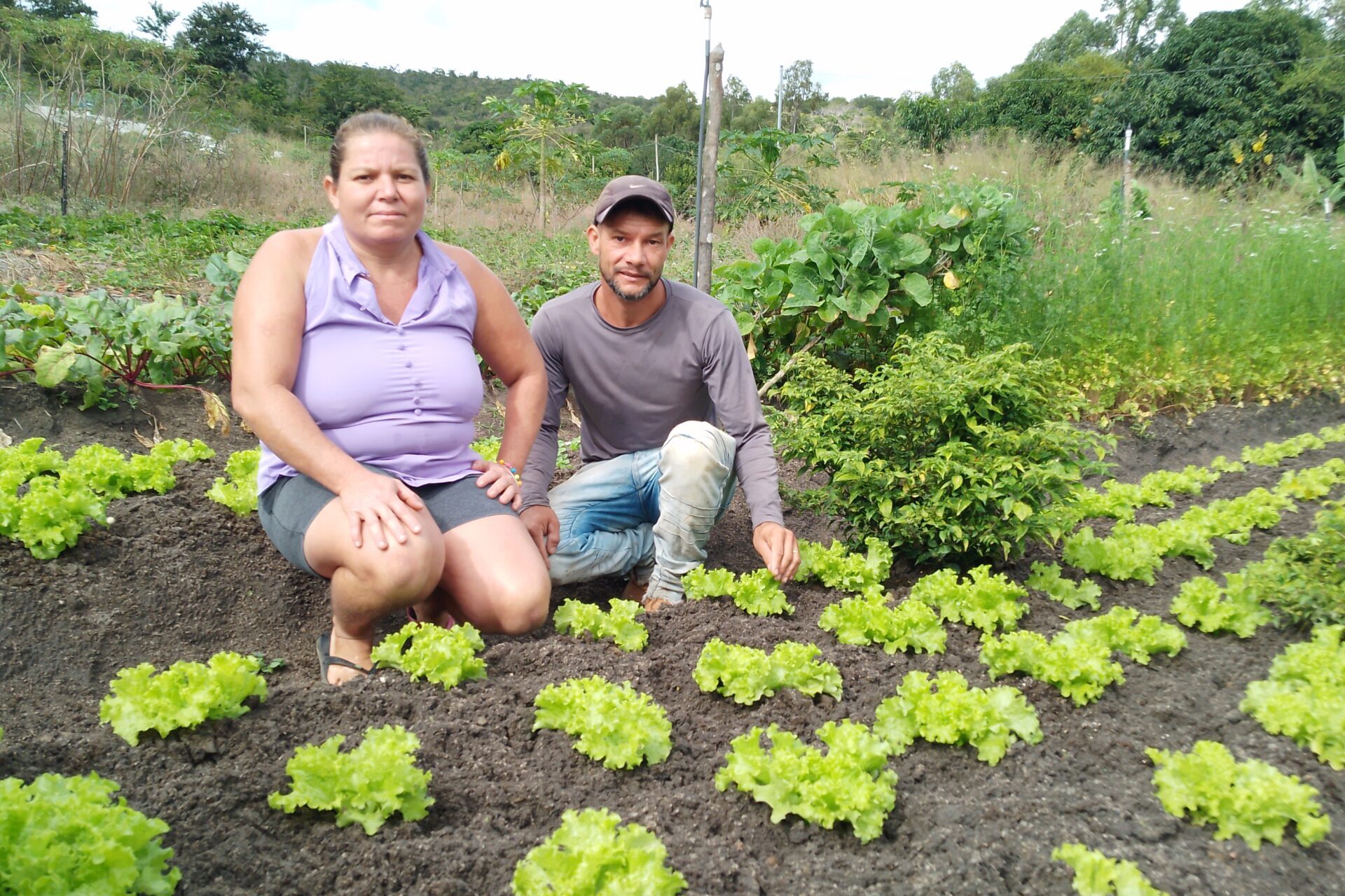 “Hoje produzo uma grande diversidade de alimentos que entrego ao PAA e PNAE, garantindo uma renda maior”, destaca agricultora mineira 