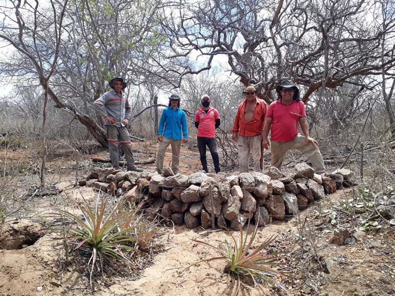 Grupo ao lado de barreira com troncos de árvore colocada para acumular água na área de regeneração da Caatinga.