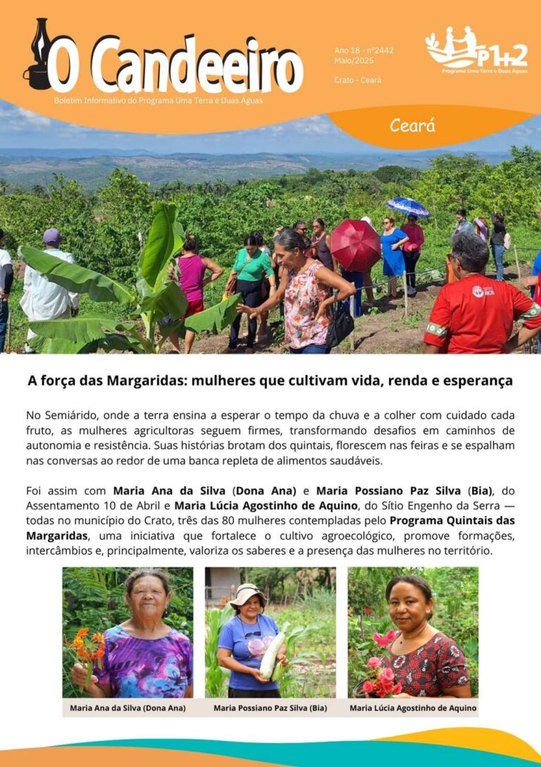 A Força das margaridas: mulheres que cultivam vida, renda e esperança