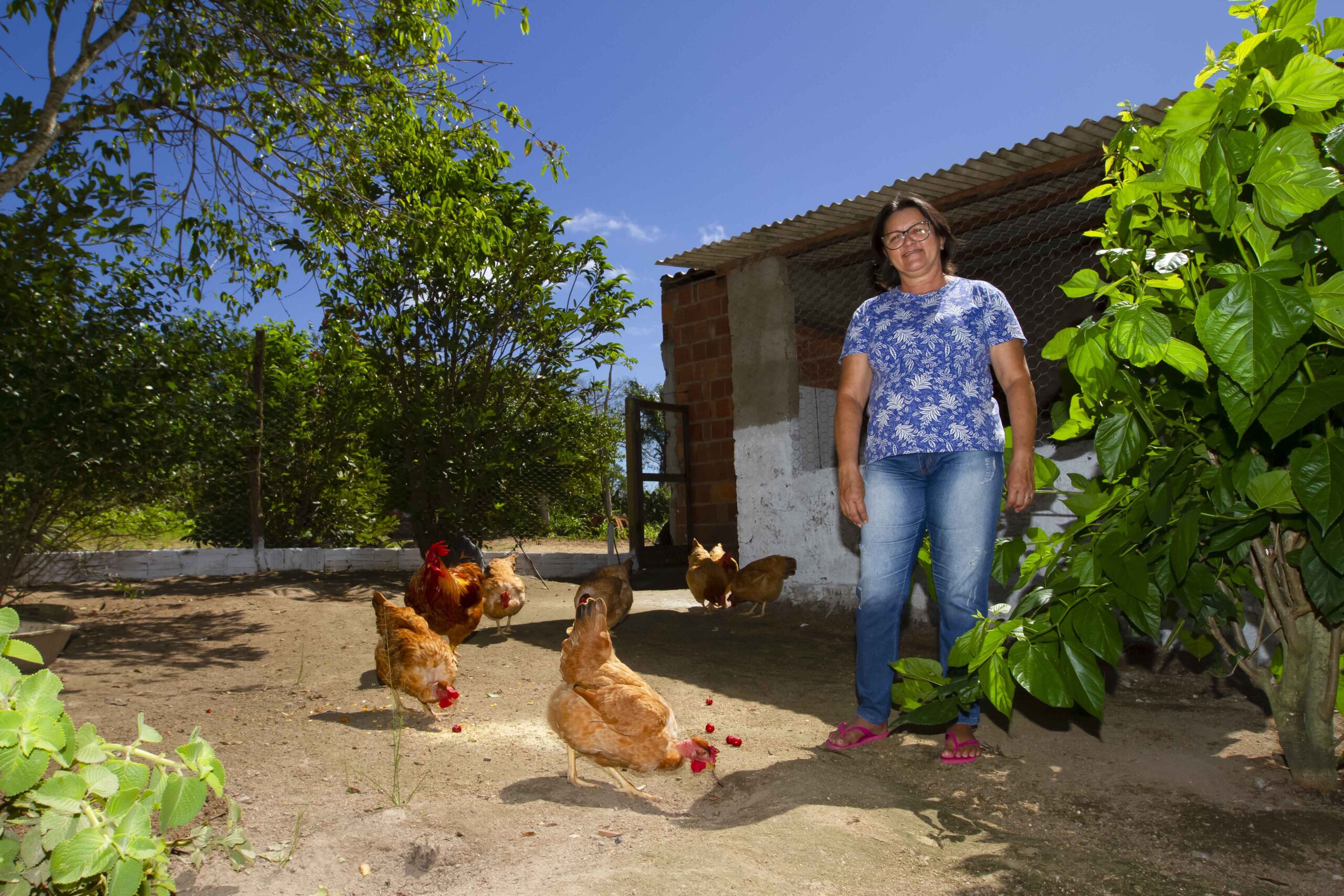 Na foto se vê uma mulher em seu quintal com galinhas e atrás dela um galinheiro.