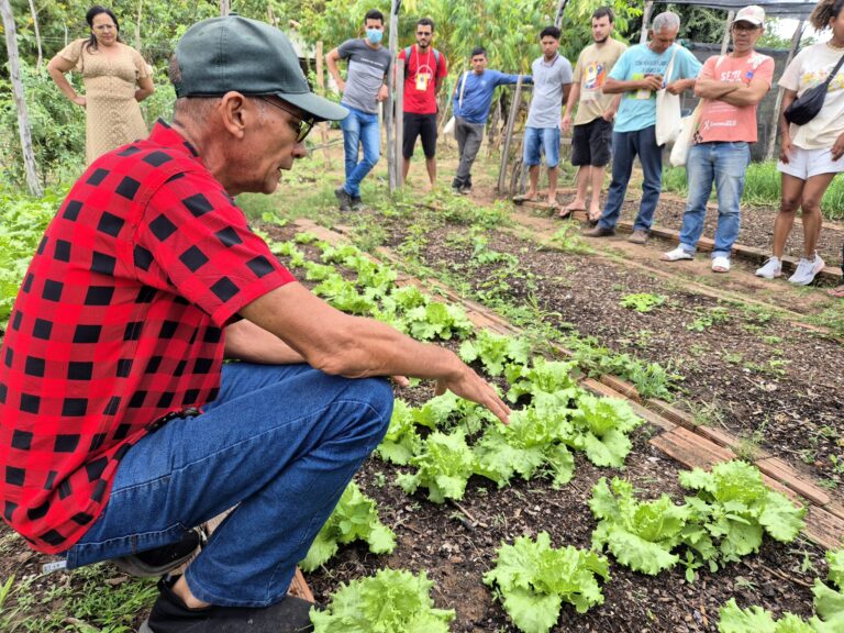 Imagem mostra um homem de camisa xadrez vermelha e preta e boné preto agachado próximo a um canteiro com pés de alface e ao fundo pessoas de pé e sentadas olham para a horta