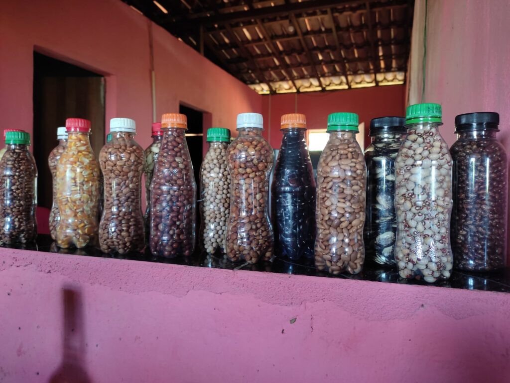 Imagem mostra diversas pequenas garrafas cheias de sementes de feijão, milho e fava