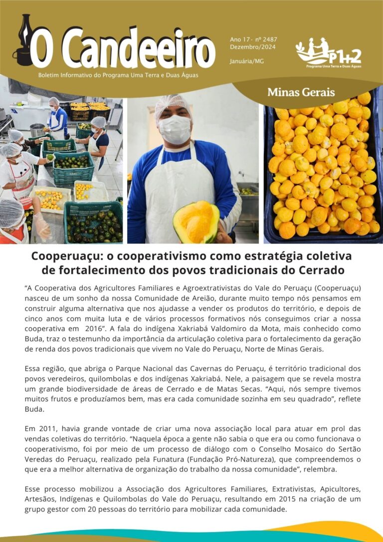 Cooperuaçu: o cooperativismo como estratégia coletiva  de fortalecimento dos povos tradicionais do Cerrado