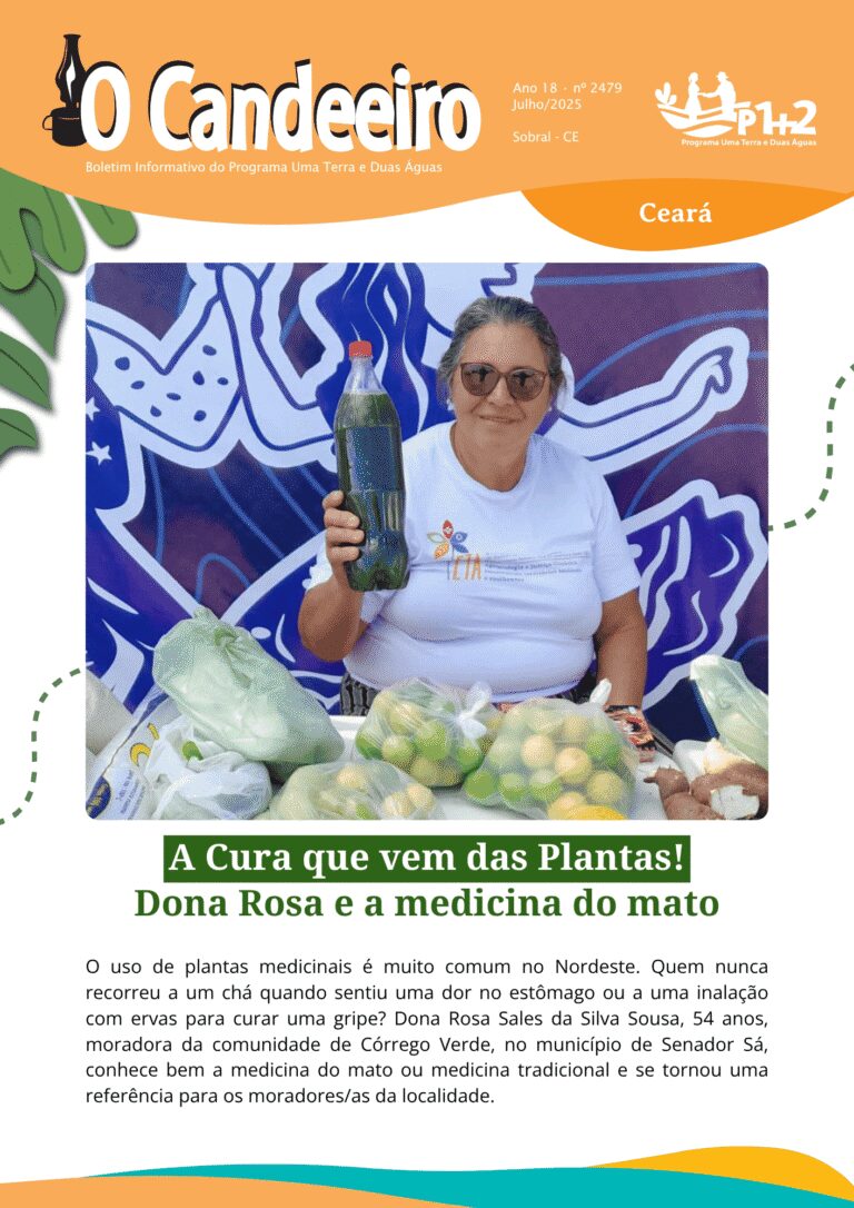 A Cura que vem das Plantas! Dona Rosa e a medicina do mato