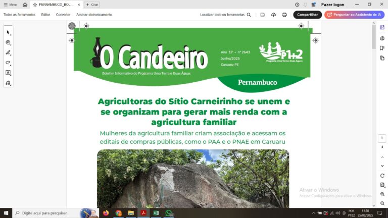 Agricultoras do Sítio Carneirinho se unem e se organizam para gerar mais renda com a agricultura familiar