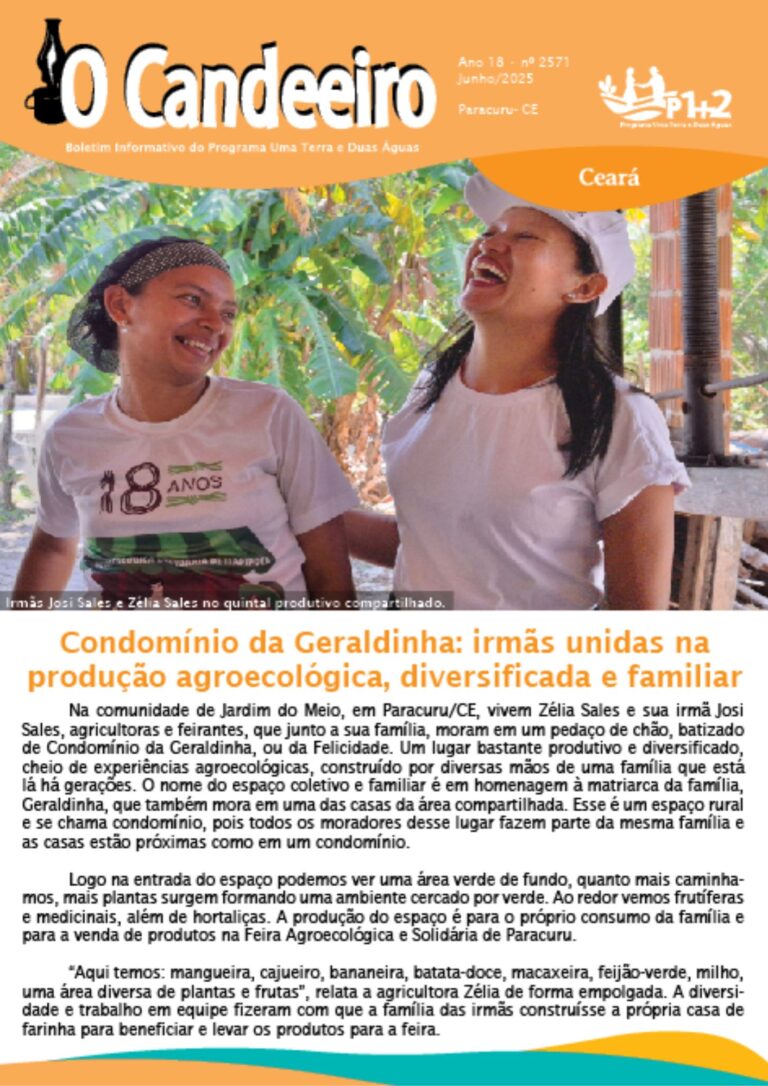 Condomínio da Geraldinha: irmãs unidas na  produção agroecológica, diversificada e familiar