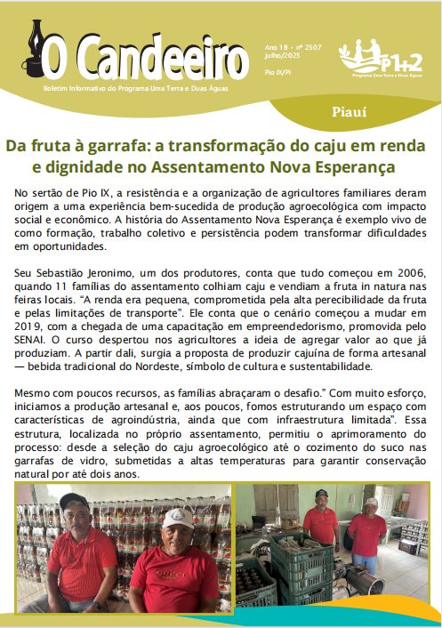 Da fruta à garrafa: a transformação do caju em renda e dignidade no Assentamento Nova Esperança