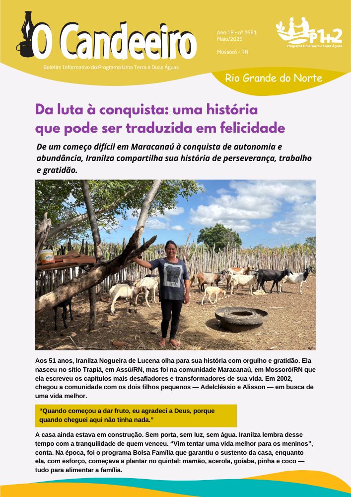 Da luta à conquista: uma história  que pode ser traduzida em felicidade