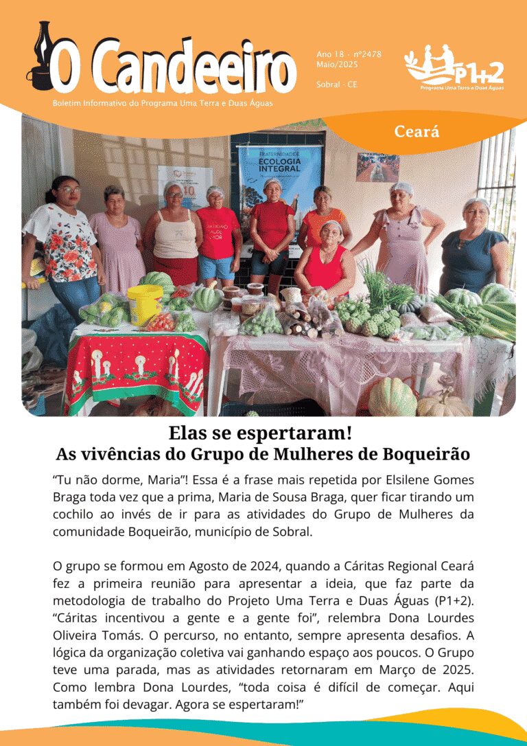 Elas se espertaram!  As vivências do Grupo de Mulheres de Boqueirão