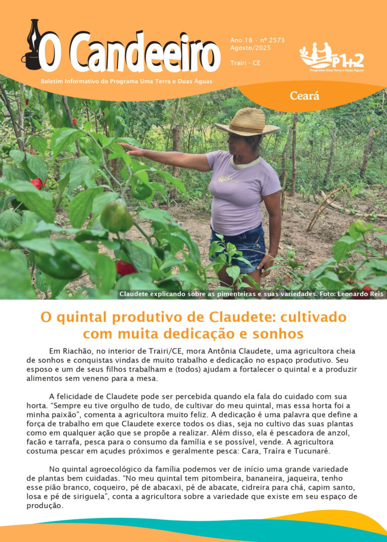 O quintal produtivo de Claudete: cultivado com muita dedicação e sonhos