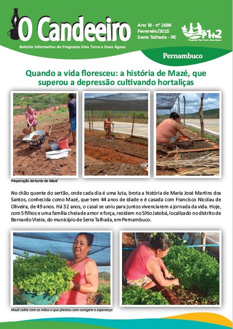 Quando a vida floresceu: a história de Mazé, que superou a depressão cultivando hortaliças
