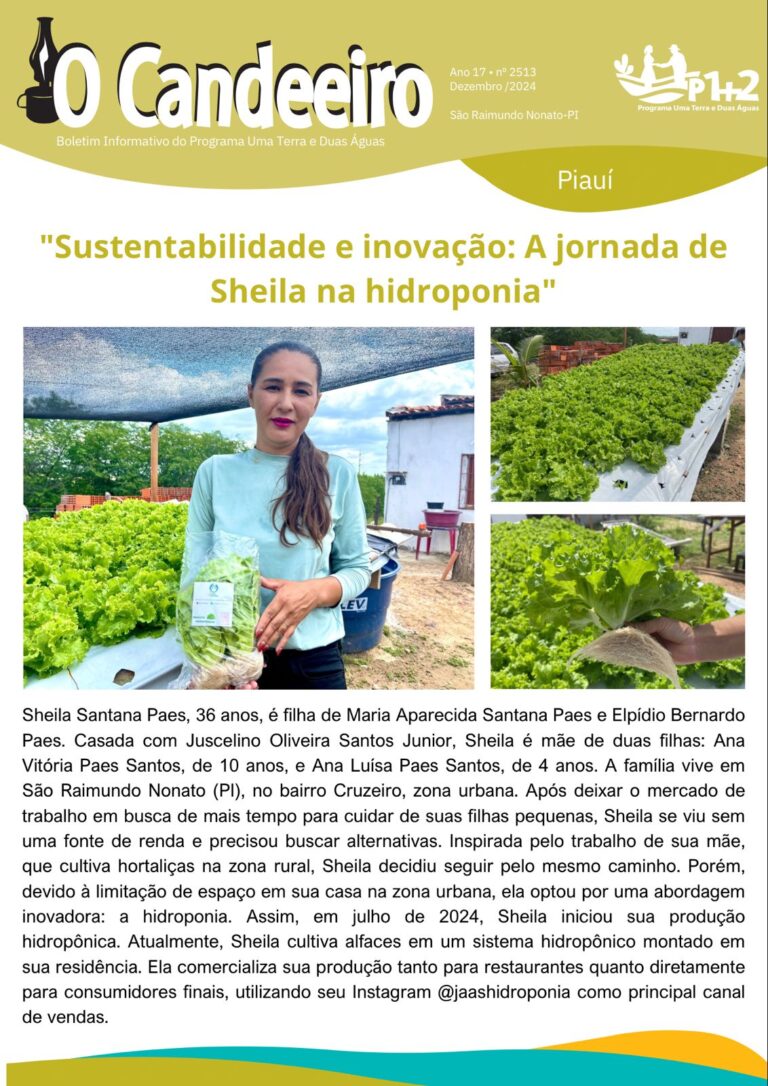 “Sustentabilidade e inovação: A jornada de Sheila na hidroponia”
