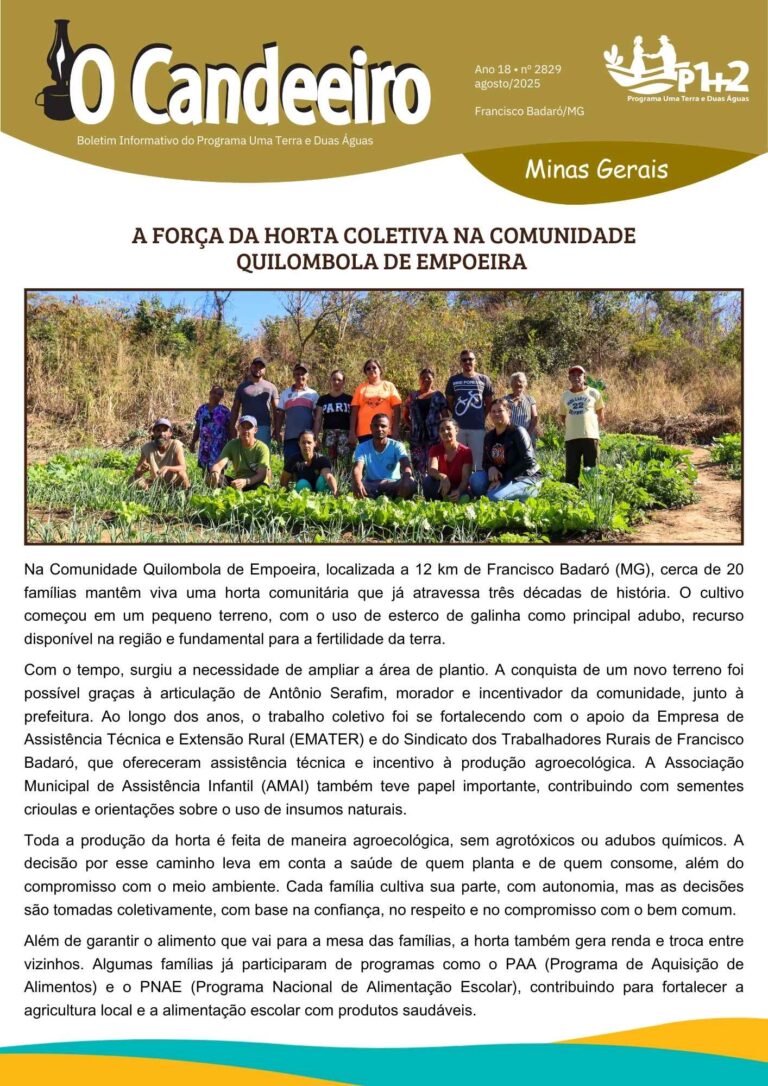 A força da horta coletiva na comunidade de Empoeira