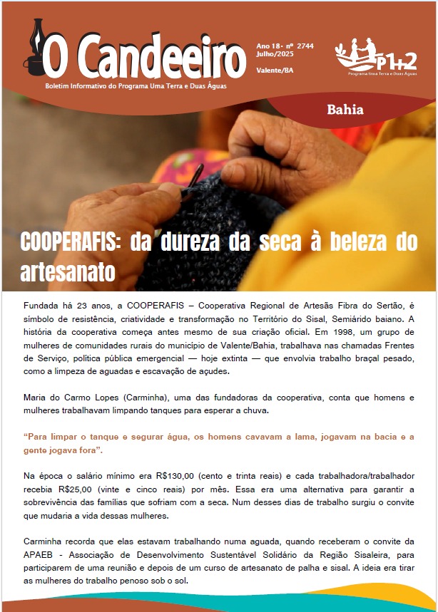 Cooperafis: A resistência das mulheres de fibra