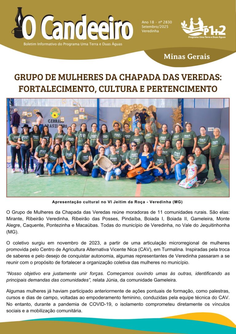 Grupo de Mulheres da Chapada das Veredas: Fortalecimento, Cultura e Pertencimento