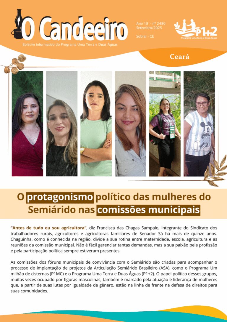 O protagonismo político das mulheres do  Semiárido nas comissões municipai