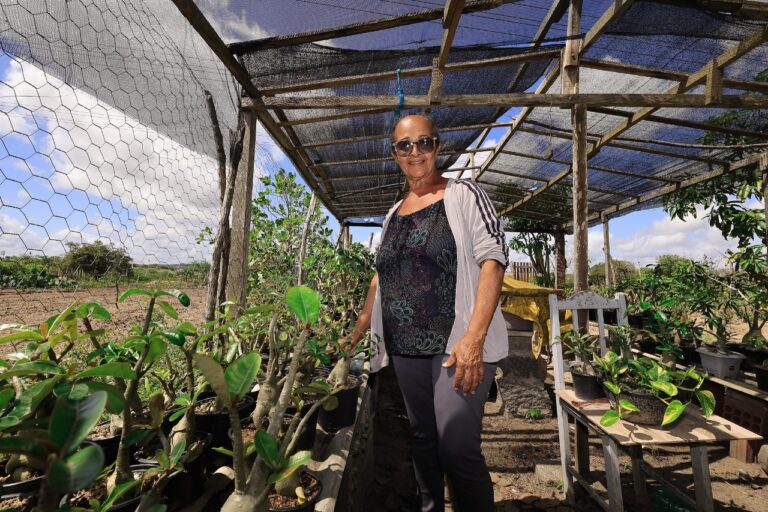 Uma mulher em pé em um canteiro de mudas, rodeada de mudas.