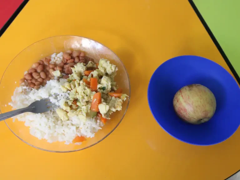 Foto mostra à esquerda um prato de vidro com comida com arroz, feijão, salada e proteína, e do lado direito um prato azul com uma maçã