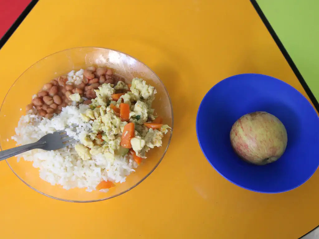 Foto mostra à esquerda um prato de vidro com comida com arroz, feijão, salada e proteína, e do lado direito um prato azul com uma maçã