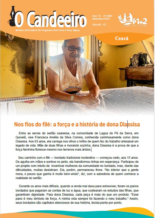 NOS FIOS DO FILÉ : A FORÇA E A HISTORIA DE DONA DIASSISA