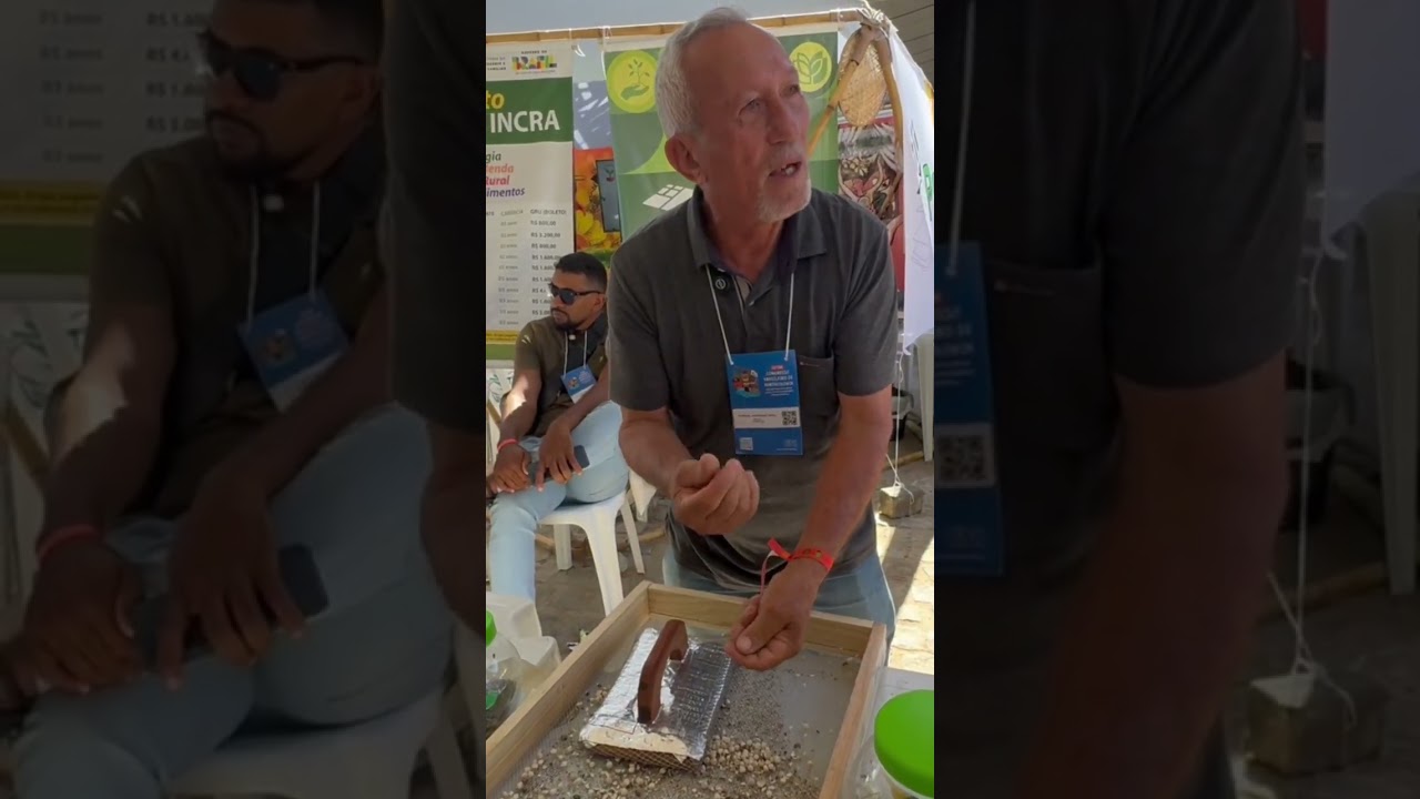 ÓLEO DE SEMENTE DE MORINGA