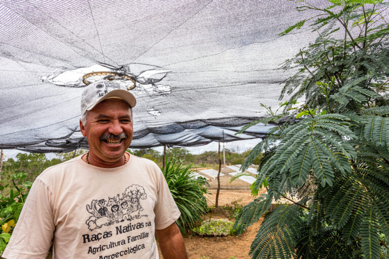 Agricultor familiar na roça