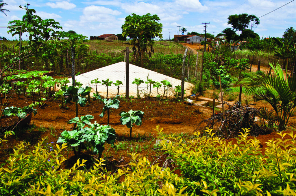 ASA: Convivência é o nosso jeito de mudar o mundo | Folder institucional