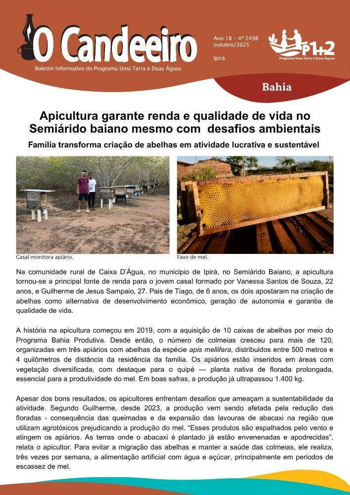 Apicultura garante renda e qualidade de vida no Semiárido baiano mesmo com desafios ambientais