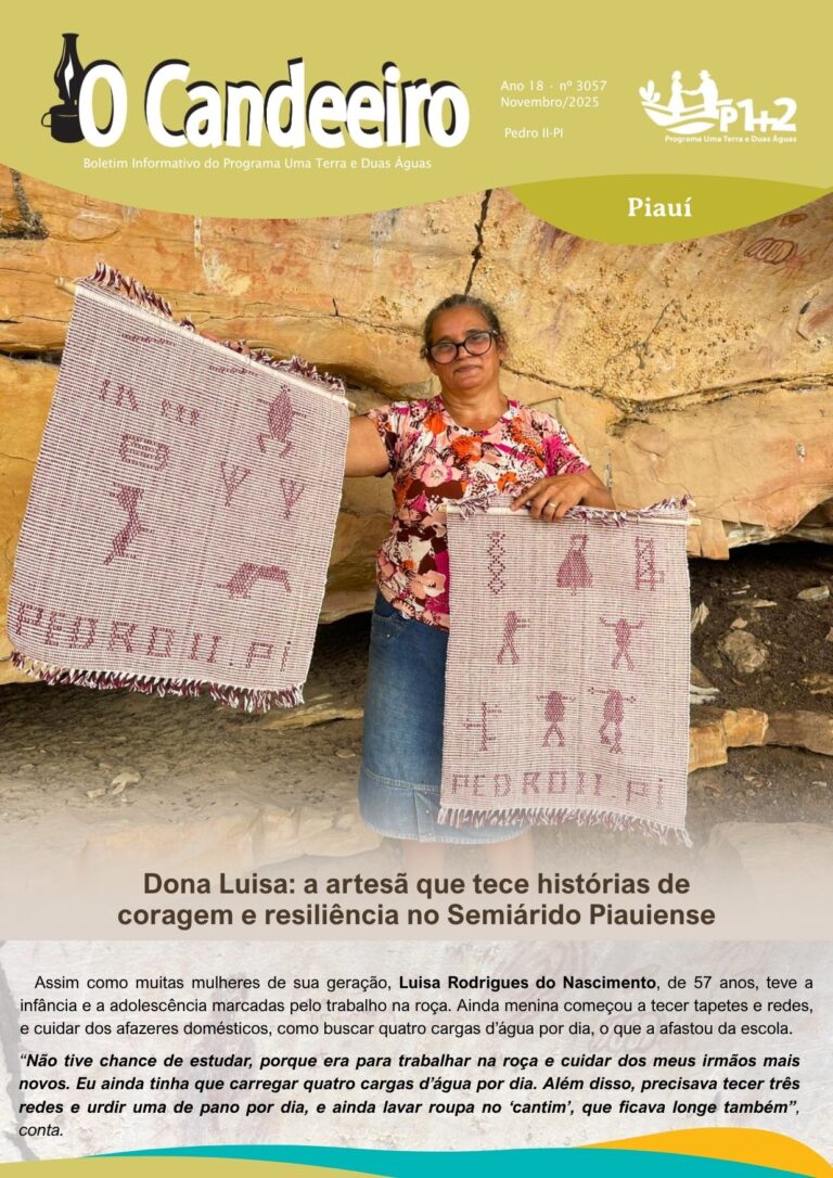 Dona Luisa: a artesã que tece histórias de coragem e resiliência no Semiárido Piauiense