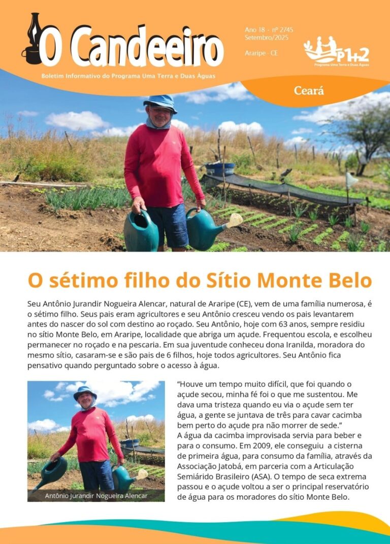 O SÉTIMO FILHO DE MONTE BELO