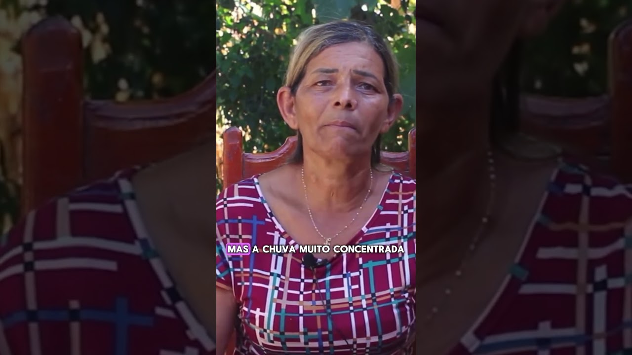 Quando começamos a conviver, conseguimos colher