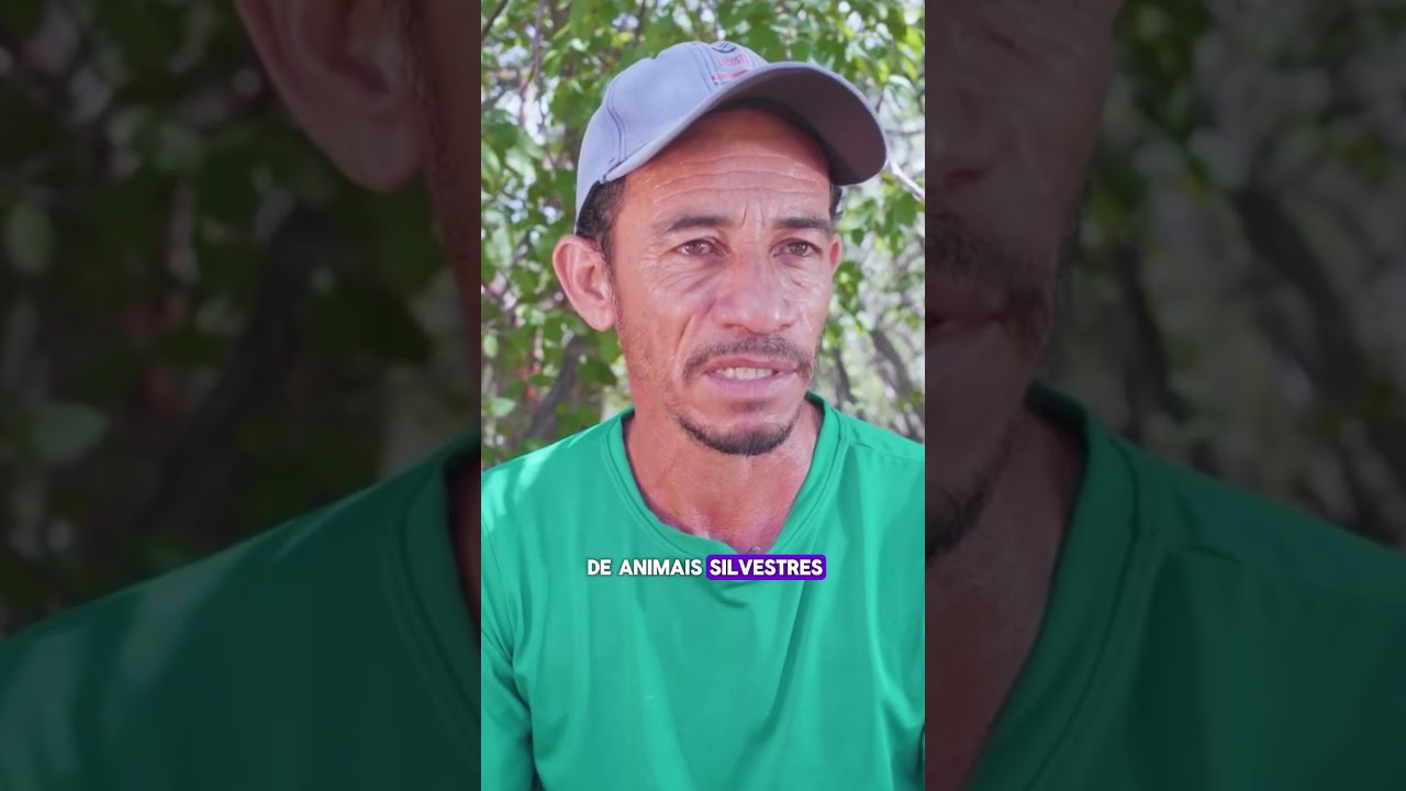 Valeu a pena o esforço que fizemos pra preservar a Caatinga!