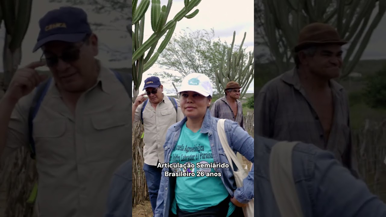 ASA 26 anos | Convivência é o nosso jeito de mudar o mundo | Short #asabrasil #semiárido #ASA