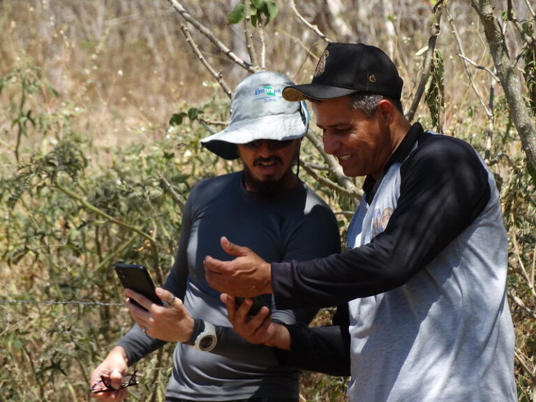App GuardeÁgua auxilia na identificação de áreas relacionadas à construção de barragem subterrânea no Semiárido brasileiro