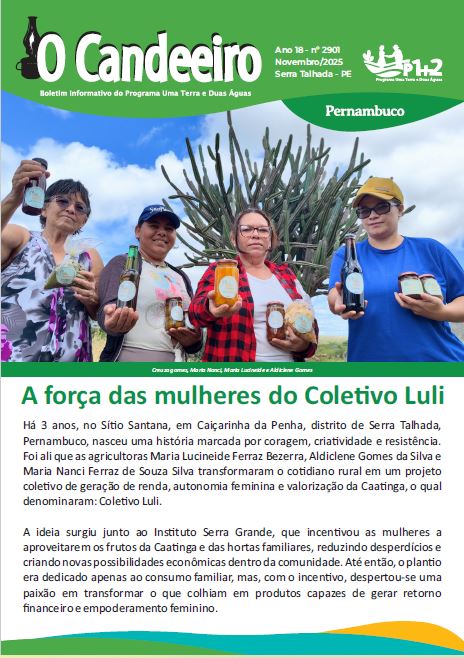 A força das mulheres do Coletivo Luli