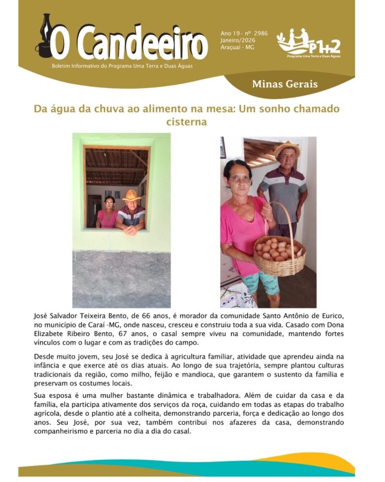 Da água da chuva ao alimento na mesa: Um sonho chamado cisterna