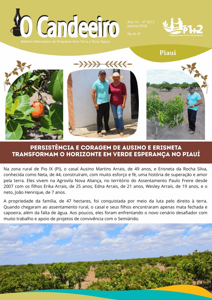 Persistência e coragem de Ausino e Erisneta transformam o horizonte em verde esperança no Piauí