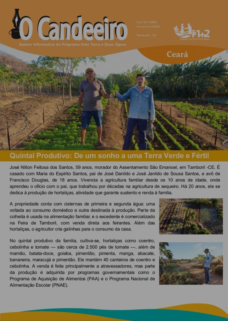 QUINTAL PRODUTIVO:DE UM SONHO A UMA TERRA VERDE E FERTIL