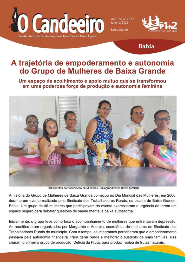 A trajetória de empoderamento e autonomia do Grupo de Mulheres de Baixa Grande