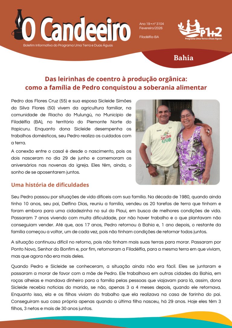 Das leirinhas de coentro à produção orgânica: como a família de Pedro conquistou a soberania alimentar