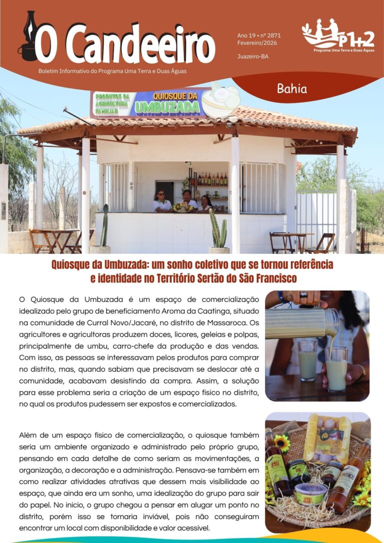 Quiosque da Umbuzada: um sonho coletivo que se tornou referência  e identidade no Território Sertão do São Francisco